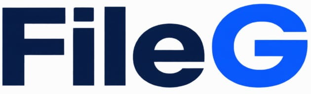 FILEG.NET